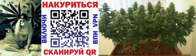 Купить наркотики Циолковский Метамфетамин  Марихуана  МЕГА маркетплейс  ГАШ  АМФЕТАМИН  Галлюциногенные грибы  Меф мяу мяу 