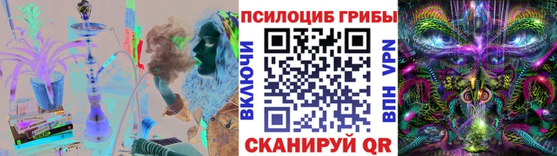 купить наркотики цена  Циолковский  Псилоцибиновые грибы Cubensis 
